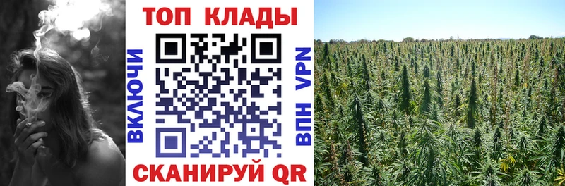 Магазины продажи наркотиков Дмитриев Канабис МЕФ Alpha-PVP ГАШИШ blacksprut ТОР COCAIN