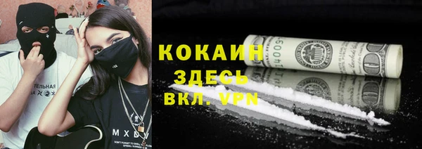 шишки Аркадак