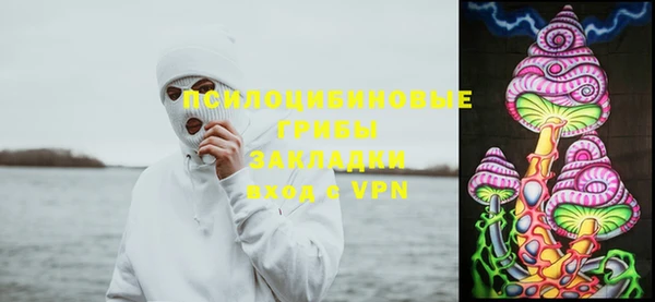 спиды Армянск