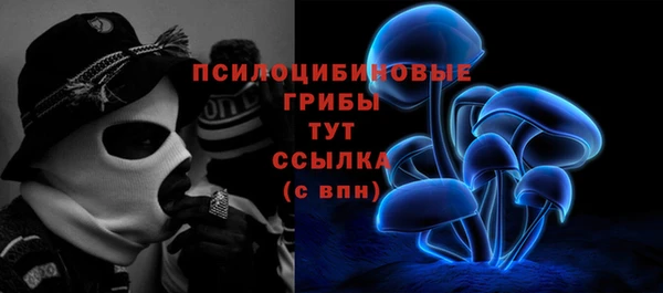 шишки Аркадак