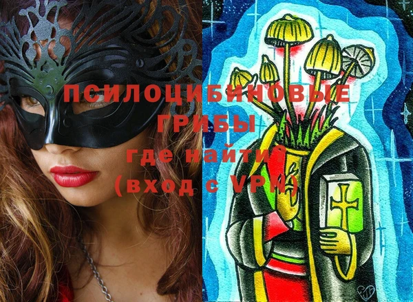 шишки Аркадак