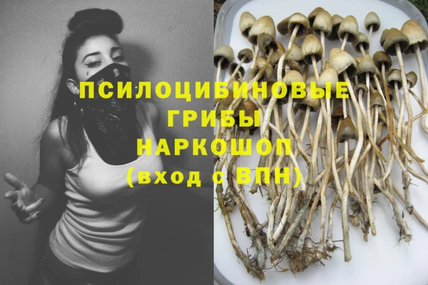 дживик Арсеньев