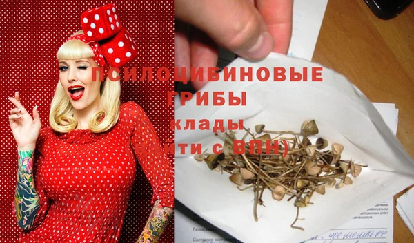 дживик Арсеньев