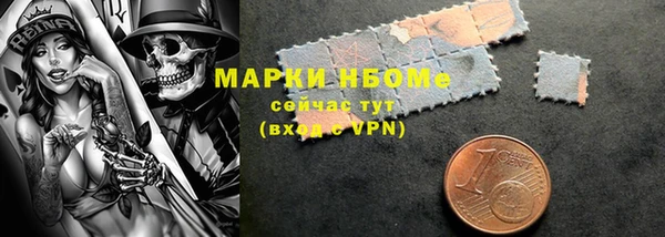 шишки Аркадак